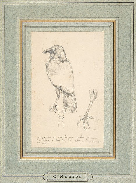 A Raven Perched on a Rail mid-19th cent-Charles Meryon,16x12"(A3) Poster
