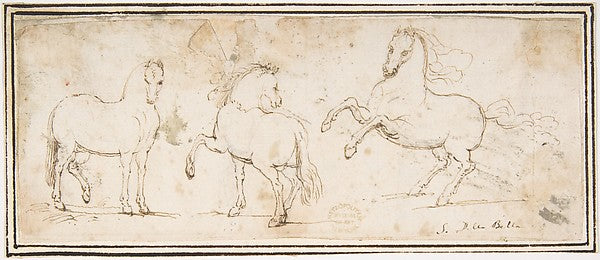 Horses 1624–63-attributed to Francesco Allegrini 1615/20–afte, Poster Print Wall Art