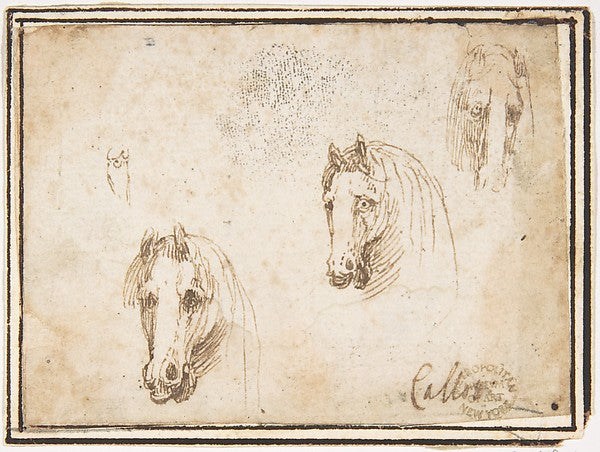 Horses' Heads 1624–63-attributed to Francesco Allegrini 1615/, Poster Print Wall Art