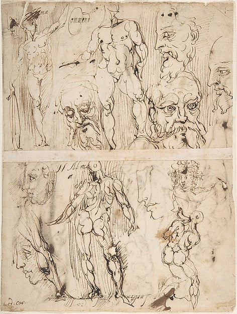 Studies of Nudes and Human Heads . 1557–1602-circle of Agostin, Poster Print Wall Art