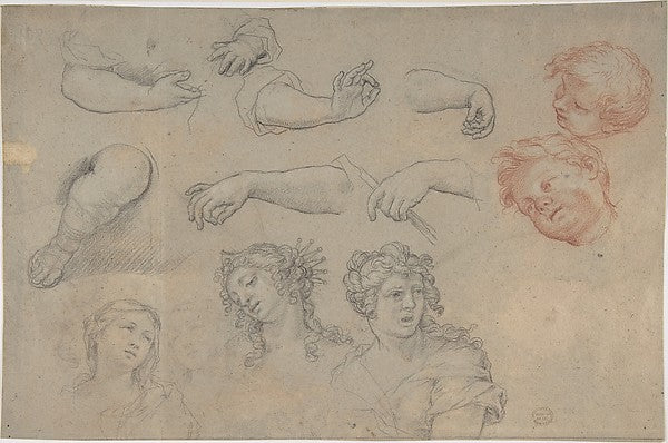 Studies of Heads and Hands 17th cent-Anonymous,French,17th c,16x12"(A3)Poster