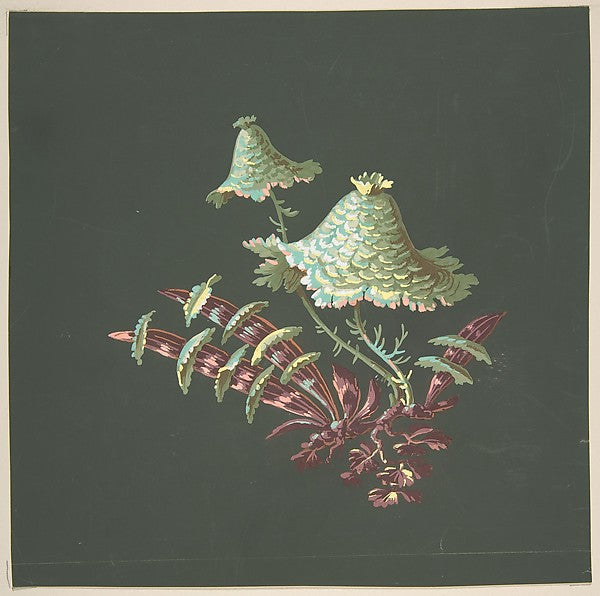 Two Hat-Shaped Chinoiserie Flowers with Fanciful Leaves 19th c, Poster Print