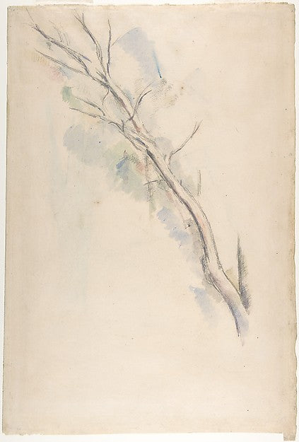 Studies of a tree n.d.-Paul Cézanne,16x12"(A3) Poster