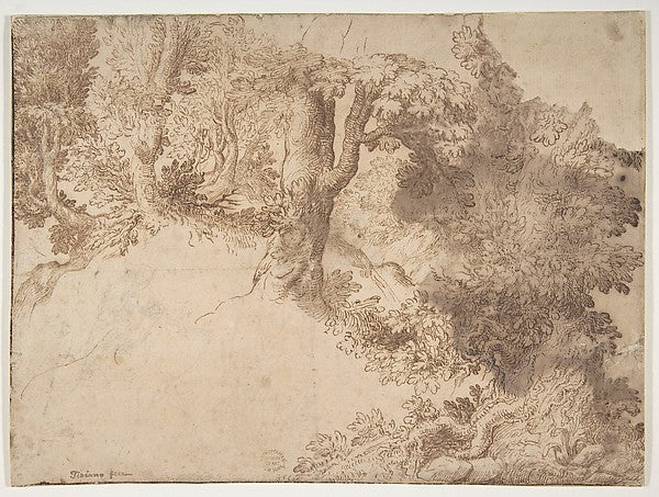 Woodland Scene with Light Sketch of a Madonna and Child 1528–9, Poster Print Wall Art