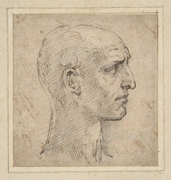 Head of a Man in Profile to Right 1503–40-Parmigianino ,16x12"(A3) Poster
