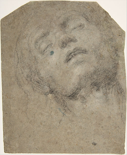 Study of a Head c1508–18-Giovanni Gerolamo Savoldo, Poster Print Wall Art