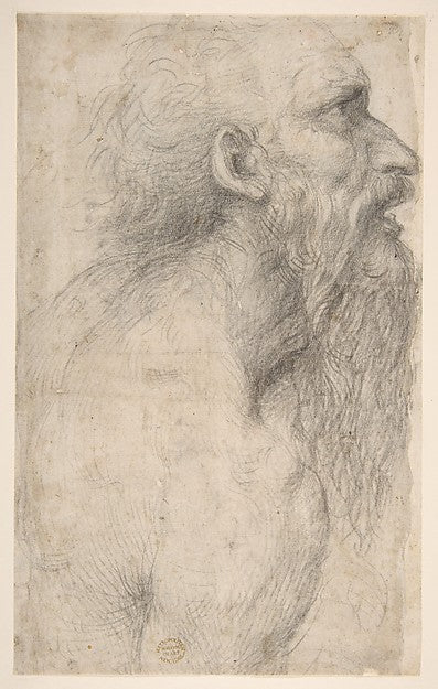 Bust of a Man with Long Beard 1477–1549-Sodoma , Poster Print Wall Art