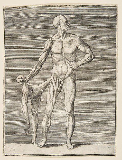 Man seen from the Front holding the Skin of his right Arm and, Poster Print