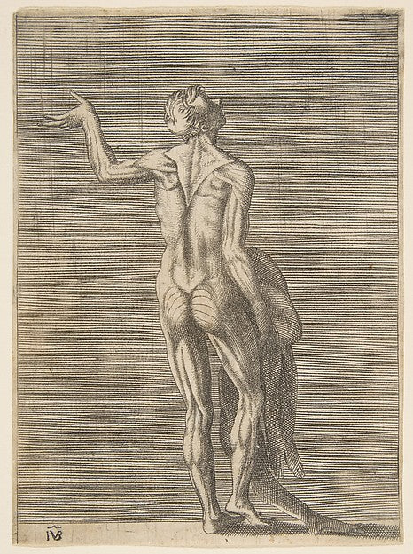Flayed man with left hand on hip holding skin in right hand c, Poster Print