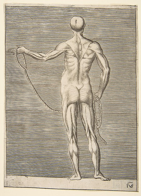 Flayed man seen from behind holding a rope c1531–76-Giulio Bo, Poster Print