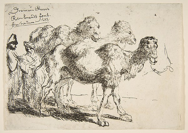 Three Dromedaries n.d.-After Rembrandt , Poster Print