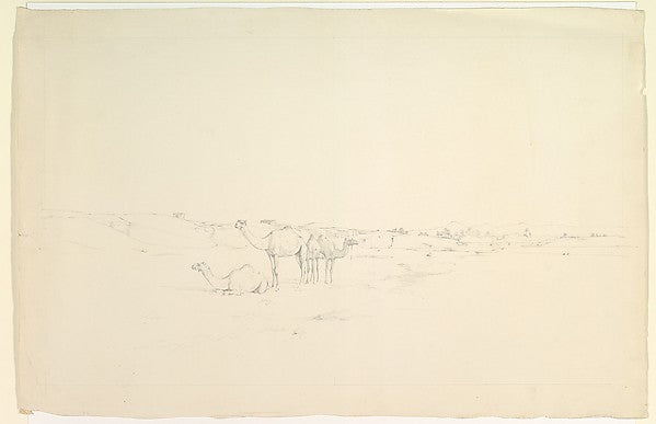 Camels in a landscape late 19th–mid-20th cent-Howard Carter, Poster Print Wall Art