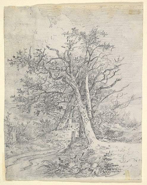John Crome:Study for Tree Trunks and Lane c1812-16x12"(A3) Poster