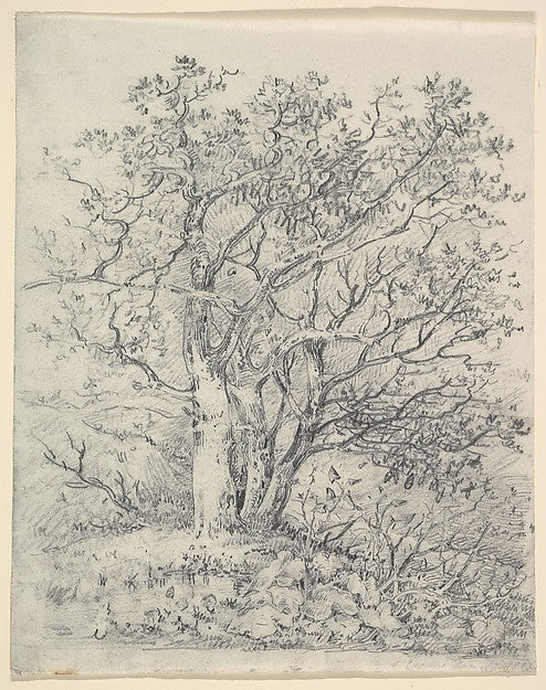 Study for Three Trees January 12,1812-John Crome, Poster Print Wall Art