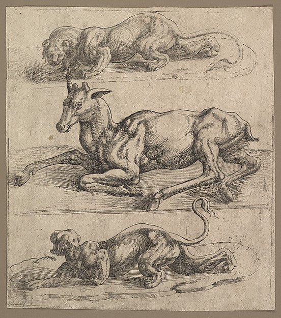 A Doe and Two Lionesses c1540-Attributed to Jan Cornelisz Verm,16x12"(A3)Poster