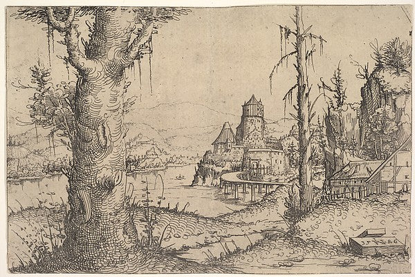 Landscape with a Large Tree at Left 1546-Augustin Hirschvogel,16x12"(A3)Poster