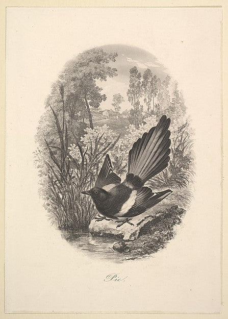 Magpie 1843-Charles-François Daubigny, Poster Print Wall Art