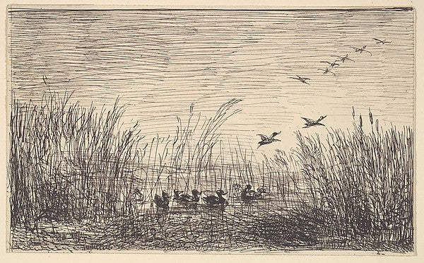 Ducks in the Marshes 1862-Charles-François Daubigny, Poster Print Wall Art