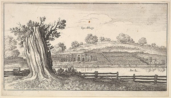 Albury with tree-stump in foreground 1625–77-Wenceslaus Hollar, Poster Print Wall Art