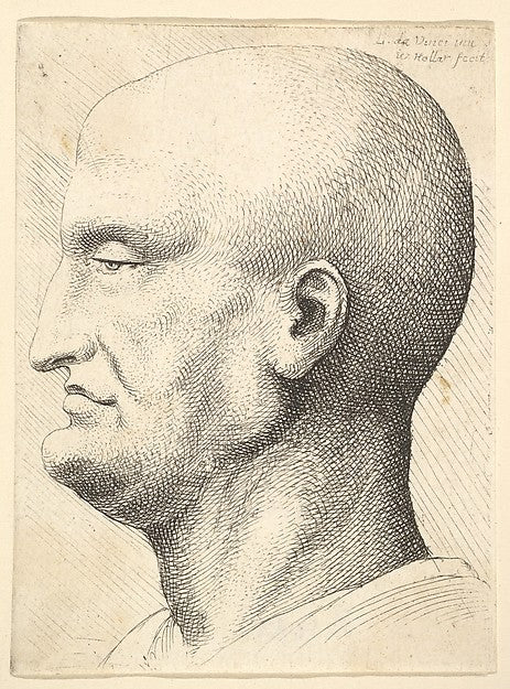 Head of a bald man in profile to left 1644–52-After Leonardo d, Poster Print Wall Art