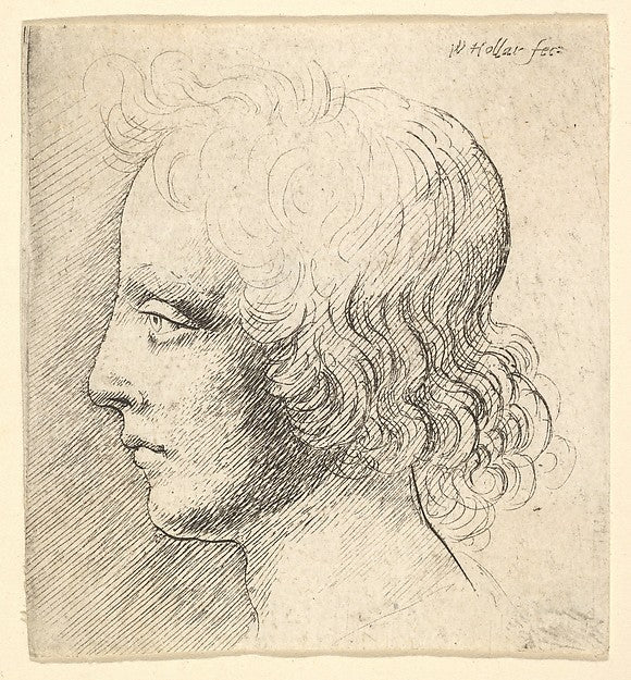 Head of Young Man 1625–77-Wenceslaus Hollar, Poster Print Wall Art