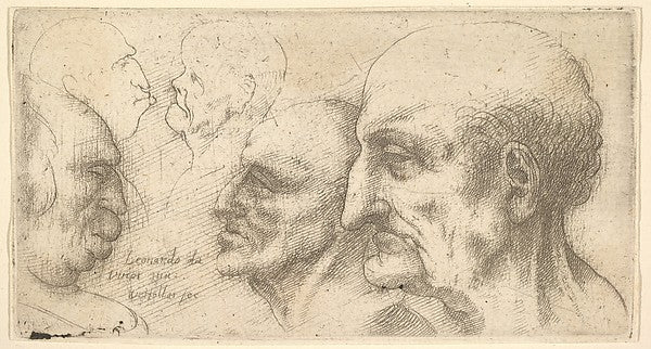 Five Heads 1625–77-After Leonardo da Vinci,16x12"(A3)Poster