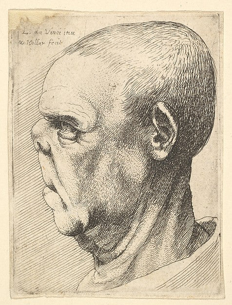 Grotesque old man with flattened nose in profile to left 1625–, Poster Print Wall Art