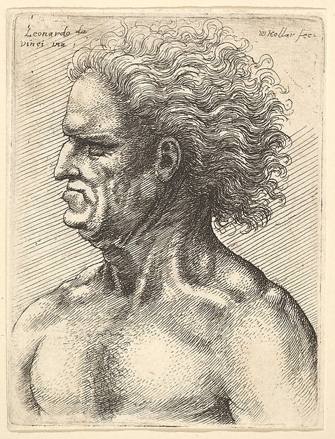 Head of a muscular old man in profile to left with flowing hai, Poster Print Wall Art