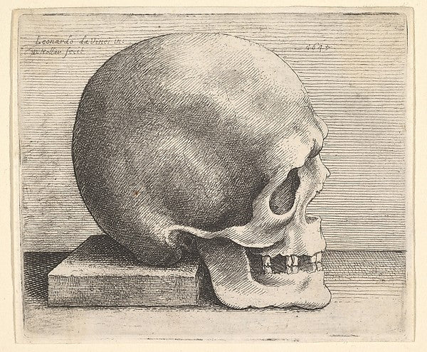 Skull in profile to right 1645-After Leonardo da Vinci,16x12"(A3)Poster