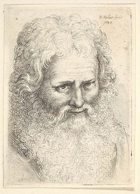 Head of an old man with a large beard 1645-Wenceslaus Hollar, Poster Print Wall Art