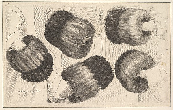 A Muff in Five Views 1645–46-Wenceslaus Hollar,16x12"(A3)Poster