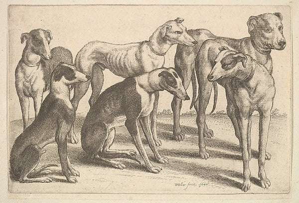 Six hounds 1646-Wenceslaus Hollar, Poster Print Wall Art