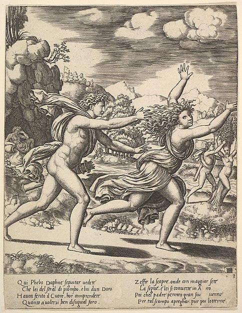 Apollo chasing Daphne who throws her arms up in the backgroun, Poster Print Wall Art