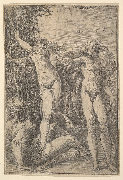 Apollo and Daphne c1538–40-Andrea Schiavone c1510?–1563 Veni, Poster Print Wall Art