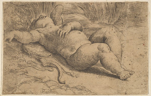 Cupid Sleeping 16th cent-Parmigianino , Poster Print