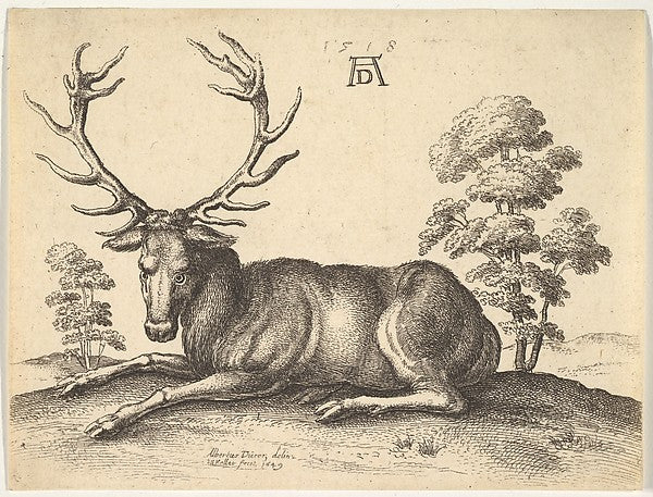 Stag lying to left 1649-After Albrecht Dürer , Poster Print Wall Art
