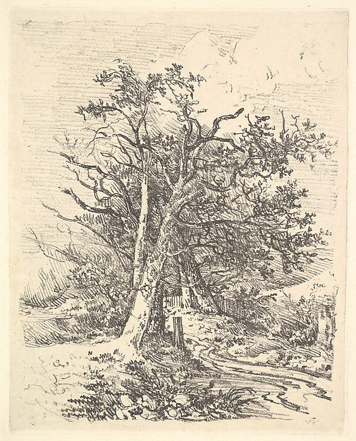 Tree Trunks and Lane 1811–13-John Crome , Poster Print Wall Art