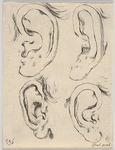 Stefano della Bella :Plate 5: four ears from 'The Book for L-16x12"(A3) Poster