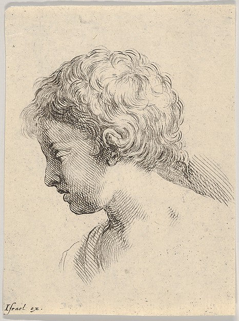 Stefano della Bella :Plate 13: head of a young boy in profil-16x12"(A3) Poster