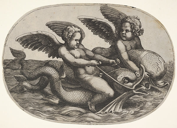 Two winged putti riding parallel on dolphins above the water s, Poster Print
