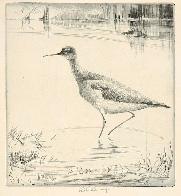 Listening Yellow-legs 1935-Henry Emerson Tuttle , Poster Print Wall Art