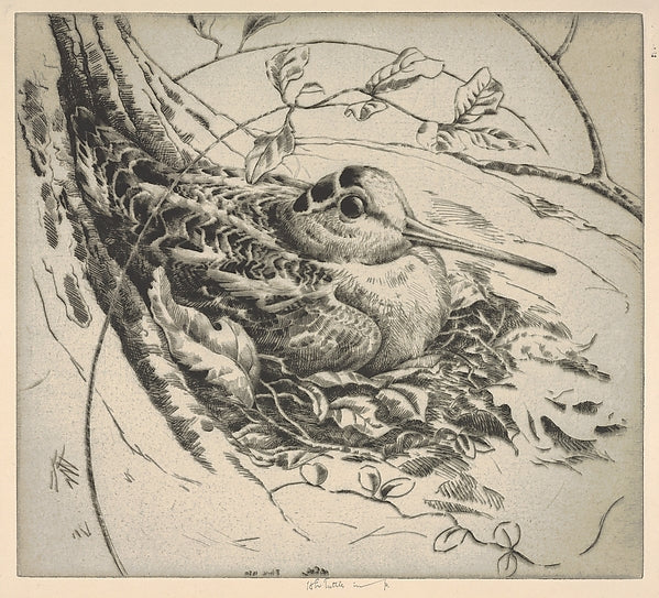 Nesting Woodcock 1930-Henry Emerson Tuttle , Poster Print Wall Art