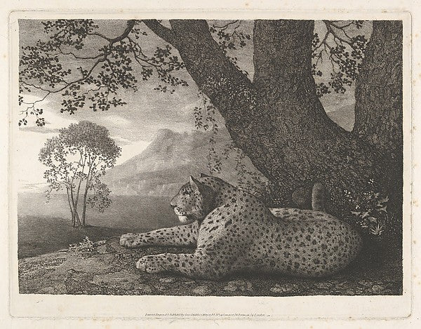 A Tyger May 1,1788-George Stubbs,16x12"(A3)Poster