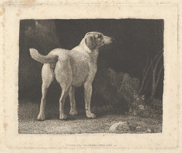 Dog May 1,1788-George Stubbs,16x12"(A3)Poster