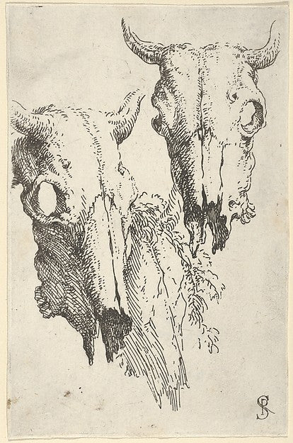 Two ox skulls and a portion of a third study for "Democritus, Poster Print Wall Art