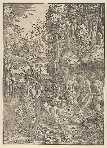 After Giovanni Battista Palumba - Diana turning Actaeon into a, Poster Print Wall Art