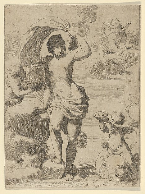 Venus stepping out of the sea holding a billowing drapery in , Poster Print Wall Art