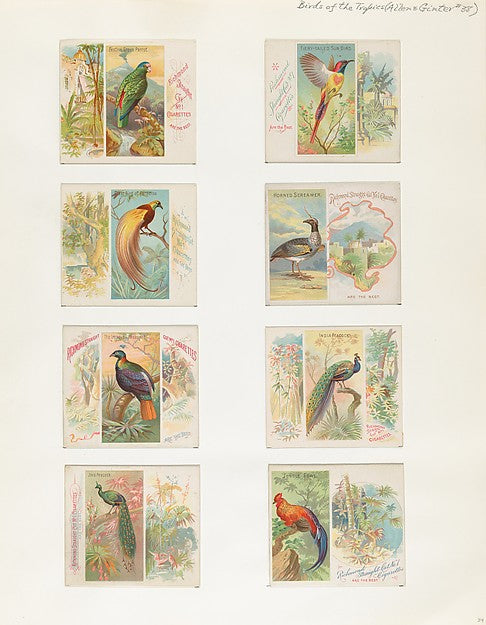 :Album 202 page 34 1884–93-16x12"(A3) Poster