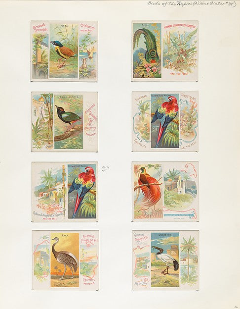 :Album 202 page 36 1884–93-16x12"(A3) Poster