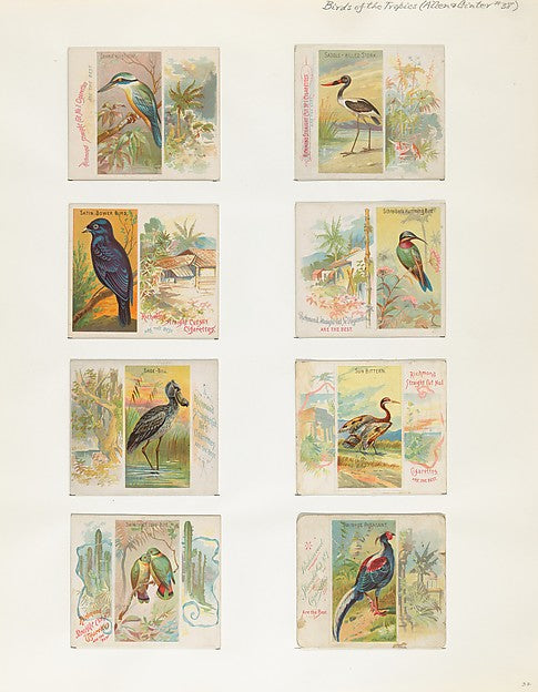 :Album 202 page 37 1884–93-16x12"(A3) Poster